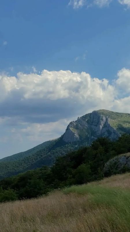 На Чатыр-Даге прошла подкормка краснокнижных птиц
