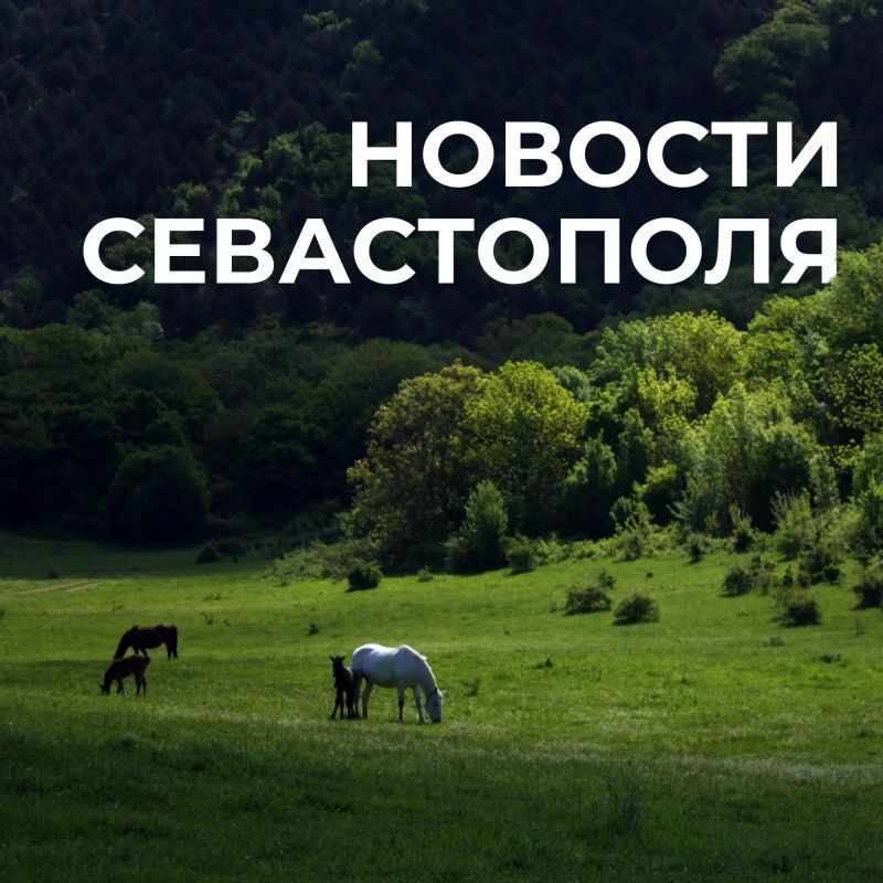 Михаил Развожаев: Коротко о главном:. За минувшие сутки наши военные вместе с мобильными огневыми группами уничтожили 30 БПЛА противника