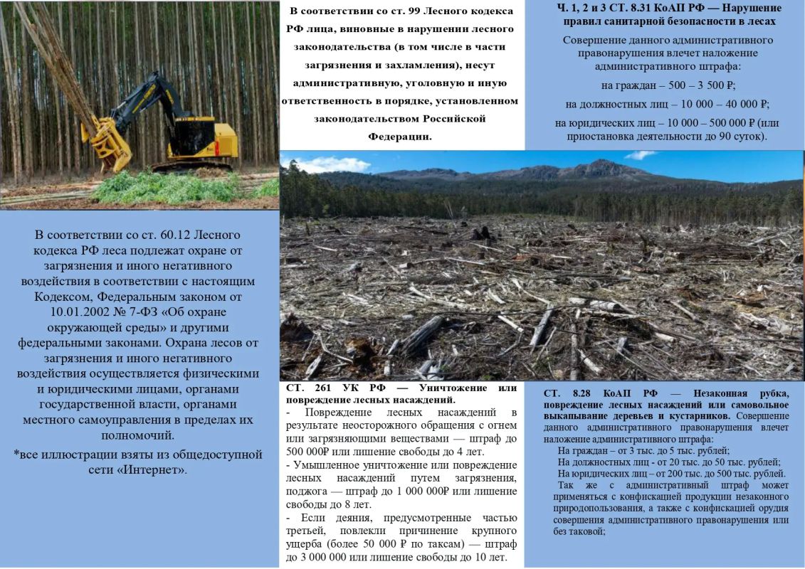 Лес — наше общее природное богатство, и его сохранение зависит от ответственности каждого! Лес — наше общее природное богатство, и его сохранение зависит от ответственности каждого!