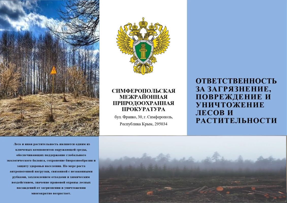 Лес — наше общее природное богатство, и его сохранение зависит от ответственности каждого!