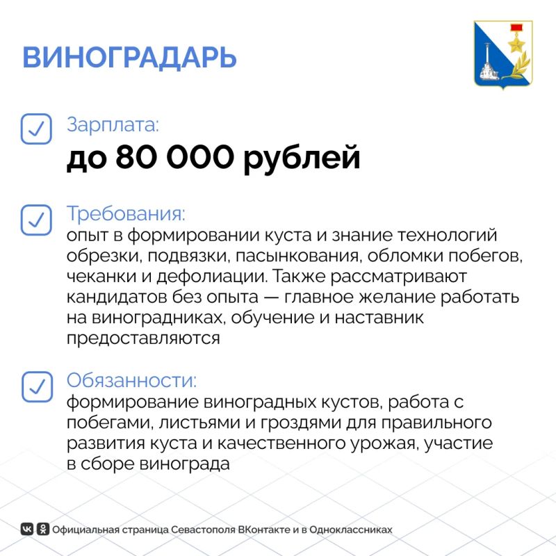 Работать в живописной долине под Балаклавой и создавать вино от лозы до бокала — звучит идеально? Работать в живописной долине под Балаклавой и создавать вино от лозы до бокала — звучит идеально?