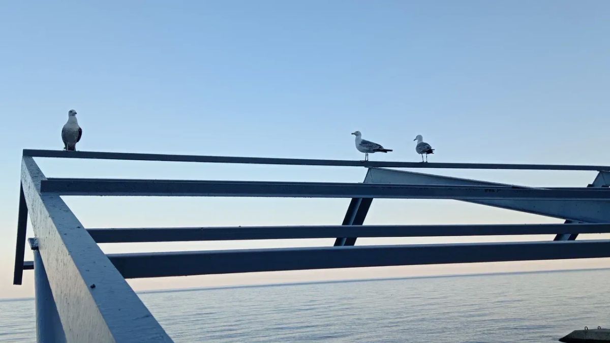 Завтра в городе Переменная облачность