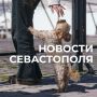 Михаил Развожаев: Коротко о главном:. Поддержка рыбаков