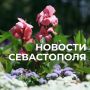 ������ ���������: ������� � �������: