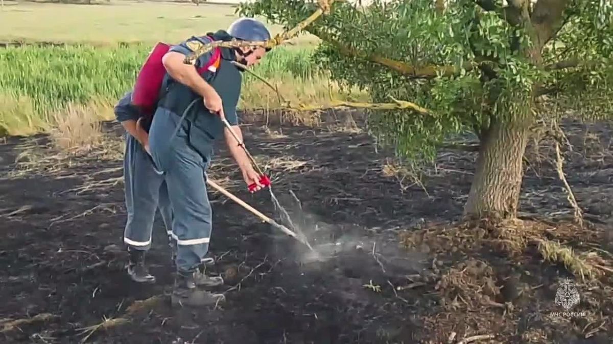Два гектара сухой травы выгорело в Кировском районе