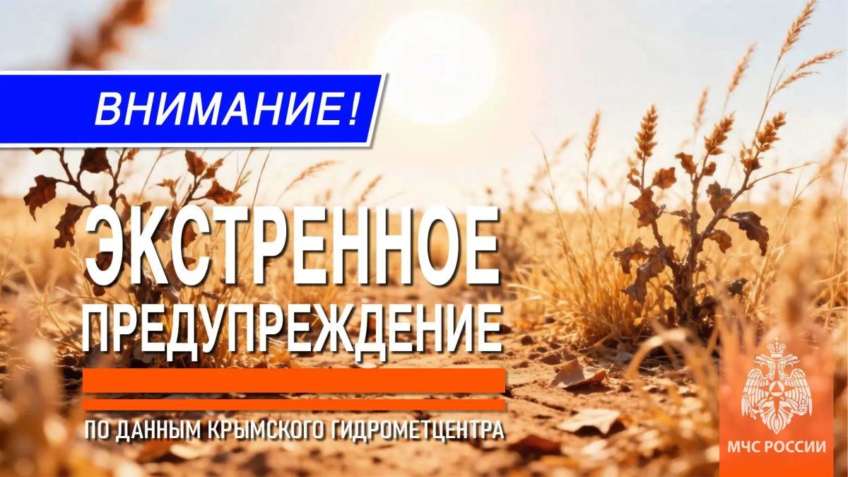 Экстренное предупреждение. 31 июля, 1 и 2 августа в западных, центральных и восточных районах Крыма ожидается высокая пожарная опасность