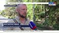Малыши дикобраза появились на свет в Джанкойском районе