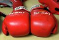 World Boxing ��������� ������� � ������� � ������������� � ������ � ������