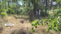 С начала весны в Крыму зарегистрировано более 1800 укусов клещей