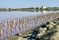 Интересные факты про город Саки