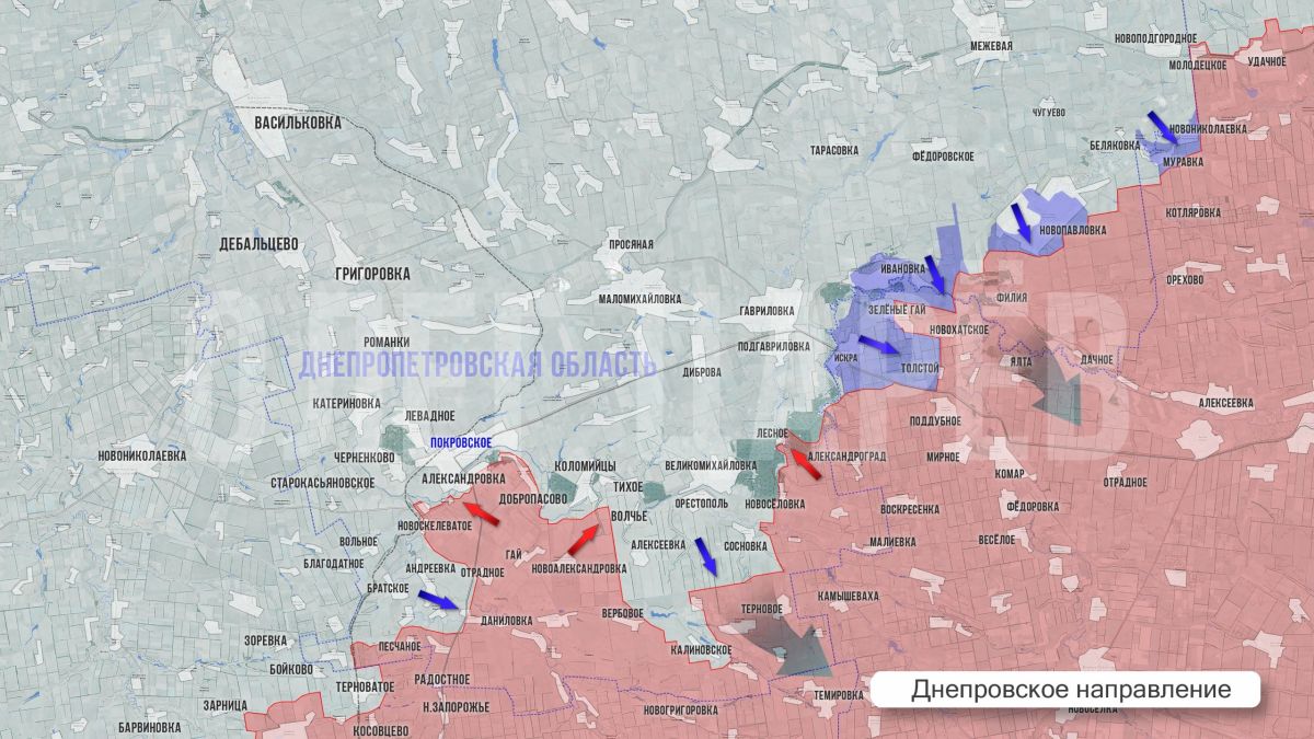 Олег Царёв: Фронтовая сводка 1 августа Олег Царёв: Фронтовая сводка 1 августа