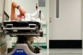 Вирус Бурбон обнаружен в США: стоит ли бояться новой заразы в России