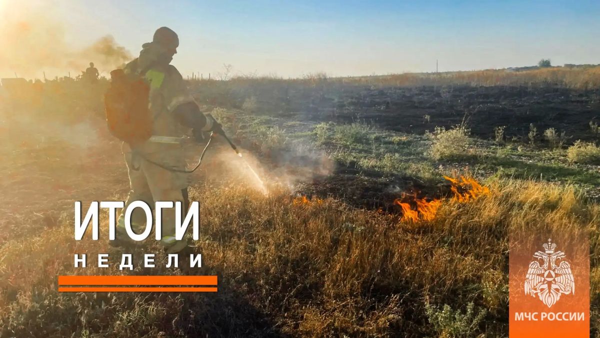 Итоги недели с 27 июля по 02 августа Итоги недели с 27 июля по 02 августа