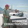 Михаил Развожаев: Коротко о главном:. Технологии на фронте
