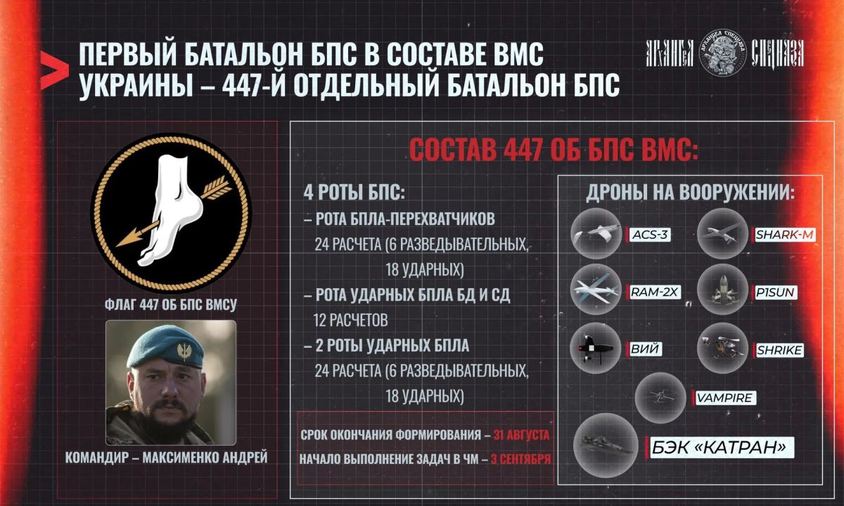 Еще больше ударных дронов будет в ЧМ