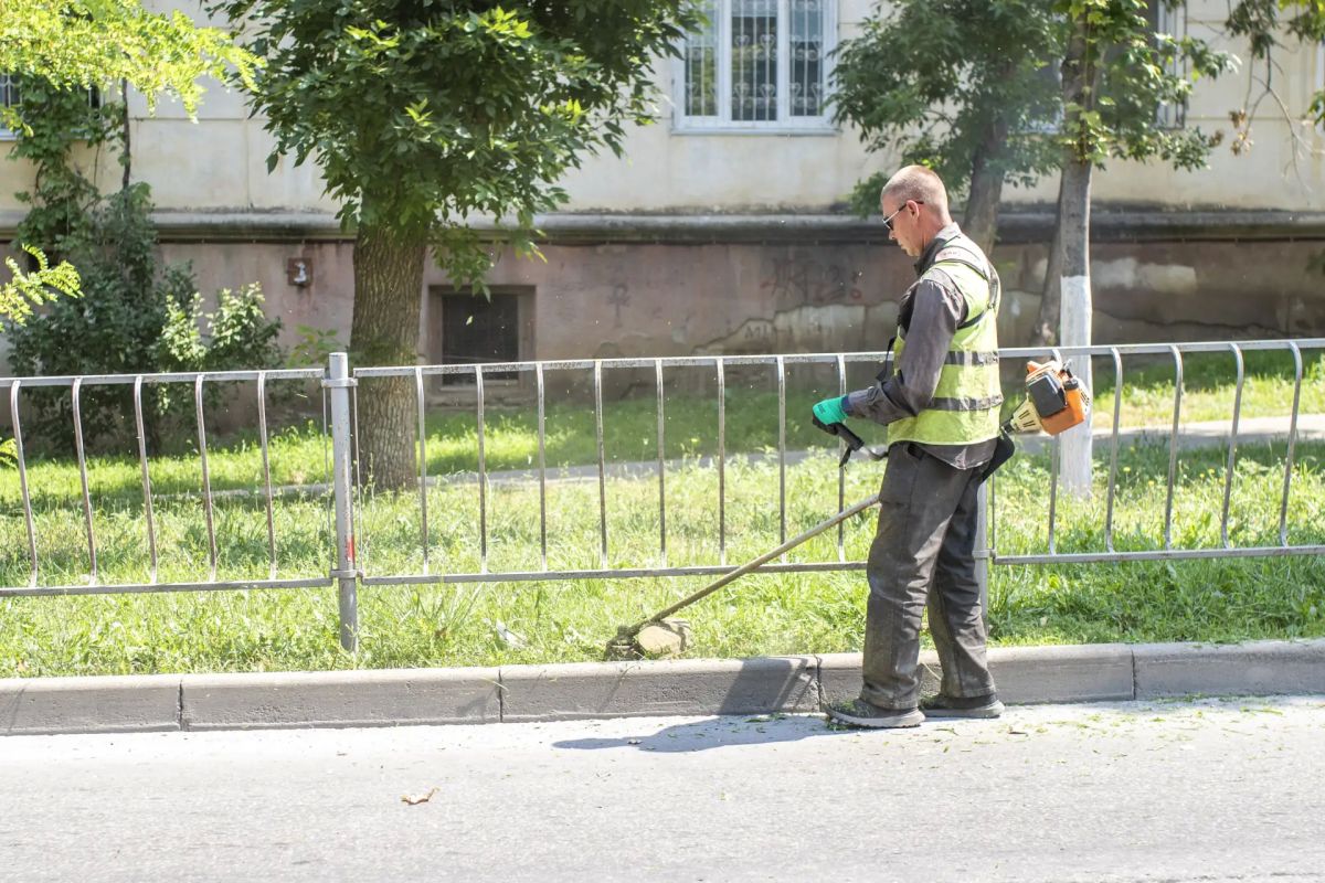 Администрация города Симферополя продолжает системную работу по борьбе с карантинным растением – амброзией полыннолистной Администрация города Симферополя продолжает системную работу по борьбе с карантинным растением – амброзией полыннолистной