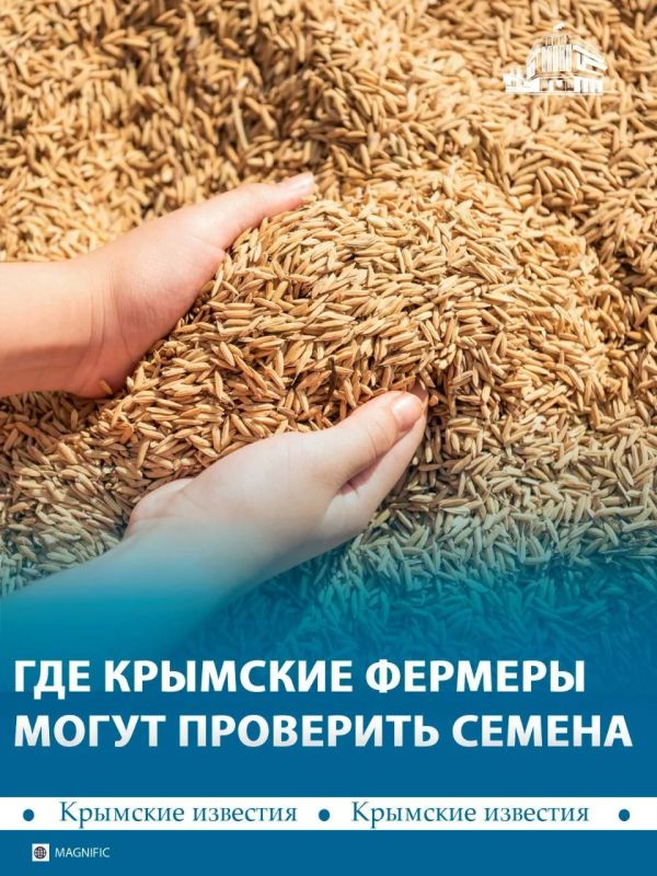 В Крыму стартовала проверка семян нового урожая