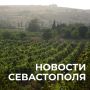 Михаил Развожаев: Коротко о главном:. Школьная выплата