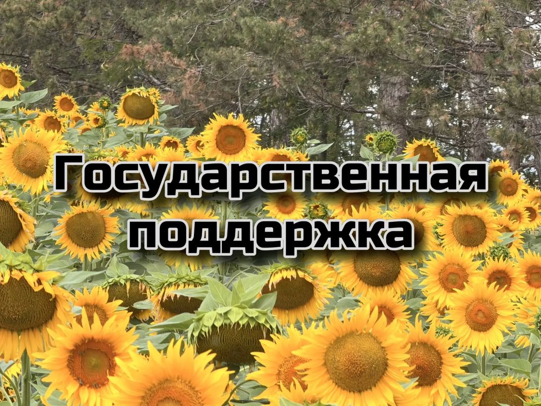 Минсельхоз Крыма объявляет старт приема документов на получение субсидий по страхованию посевов
