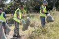 В Симферополе продолжаются работы по уборке городских лесов
