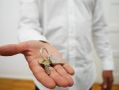 Выдача ипотеки в России выросла на 38% за семь месяцев