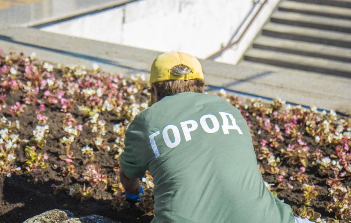 Лето — время ярких красок, и крымская столица становится ещё красивее благодаря цветущим клумбам Лето — время ярких красок, и крымская столица становится ещё красивее благодаря цветущим клумбам