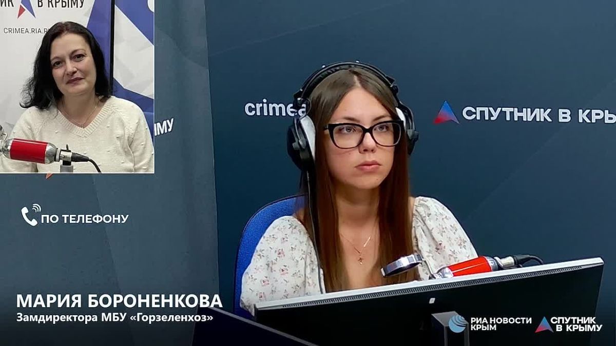 Сальвии, петуньи, бегонии и другие: чем украшают крымскую столицу?
