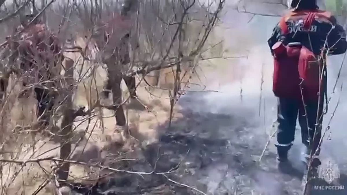 Крымские спасатели потушили горящий сухостой на площади 68 гектаров и спасли ежа