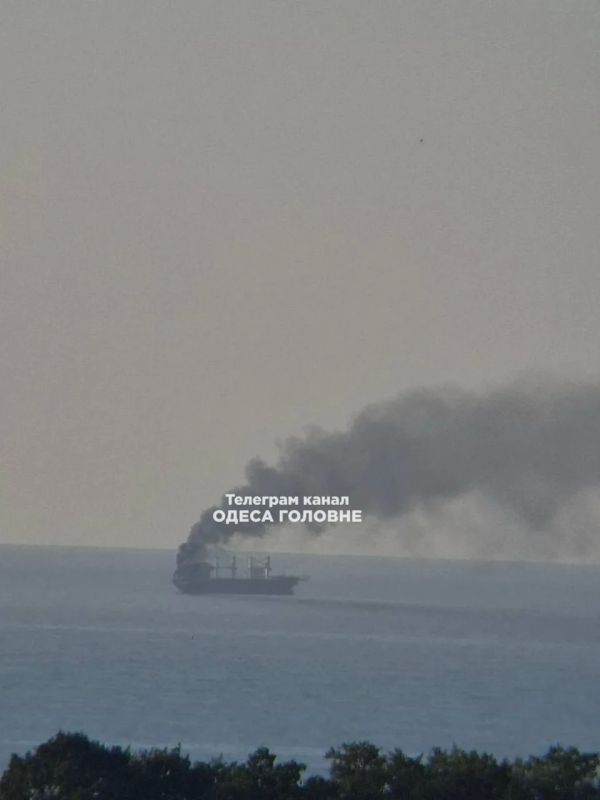 Поражены три сухогруза врага в Чёрном море, — Минобороны Поражены три сухогруза врага в Чёрном море, — Минобороны