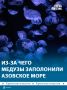 Солёность воды в Азовском море поднялась до 15 промилле