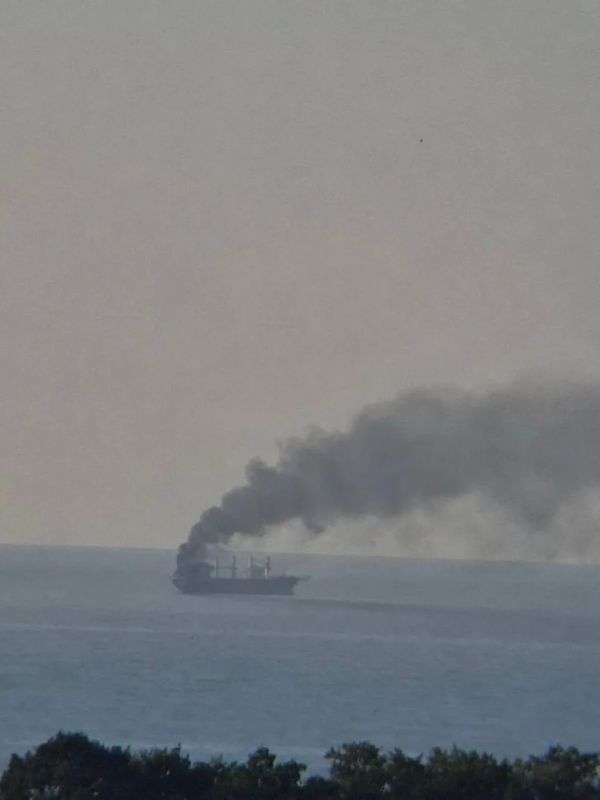 Российские военные поразили дронами-камикадзе "Герань" три сухогруза, перевозившие в акватории Черного моря грузы военного назначения, сообщают в Минобороны РФ