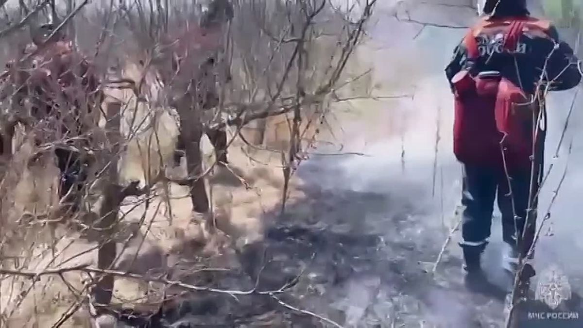 Огнеборцы спасли ежа и ликвидировали пожар в Сакском районе Из-за ландшафтных пожаров страдает не только экосистема полуострова, но и полевые животные. Так, пожарные встретили на месте работ ежа, напоили его водой из рукава...