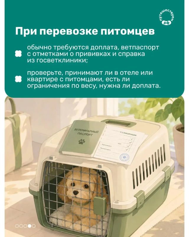 Когда планируете поездку, хочется думать только о предстоящем отпуске Когда планируете поездку, хочется думать только о предстоящем отпуске