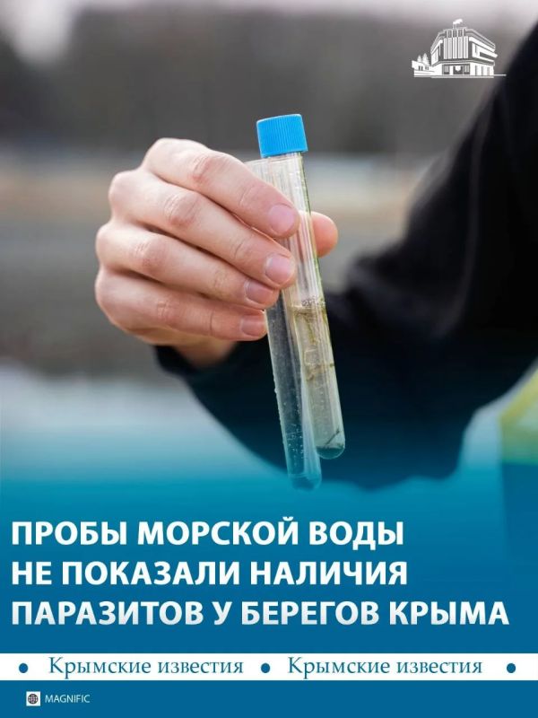 Морскую воду у берегов Крыма признали безопасной