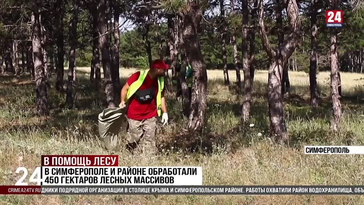 В Симферополе и районе обработали 450 гектаров лесных массивов
