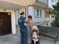 В Крыму действует 3 штормовых предупреждения: профилактические группы работают в усиленном режиме