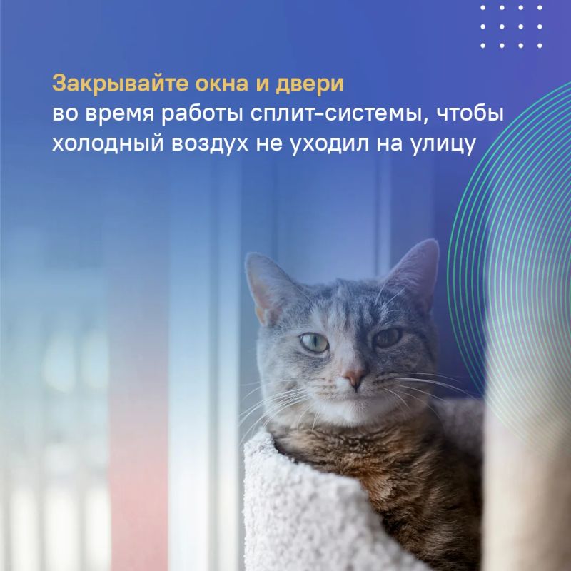 В период аномальной жары большая нагрузка ложиться на систему электроснабжения В период аномальной жары большая нагрузка ложиться на систему электроснабжения