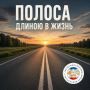 Встречная полоса: манёвр, который не прощает ошибок