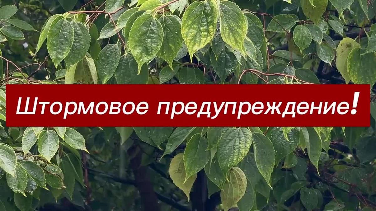 В Крыму сегодня прогнозируют ливни, град и шквал