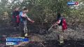 С 11 по 13 августа в центральных, восточных и южных районах Крыма из-за жаркой погоды сохранится чрезвычайная пожарная опасность