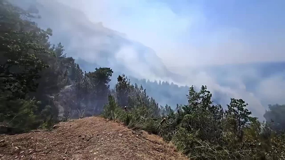 Лесной пожар в районе пляжа Инжир, возникший во время ночной атаки ВСУ на Севастополь и ранее локализованный на 8 га, возобновился после падения еще двух БПЛА, сообщил губернатор города Михаил Развожаев