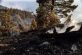В Севастополе локализовали пожар в районе пляжа "Инжир" на площади 15 гектаров
