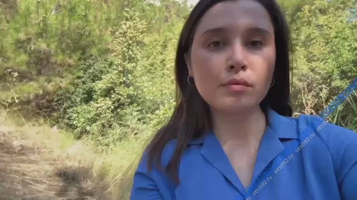 Больше суток около дикого пляжа «Инжир» ведут работы по тушению пожара