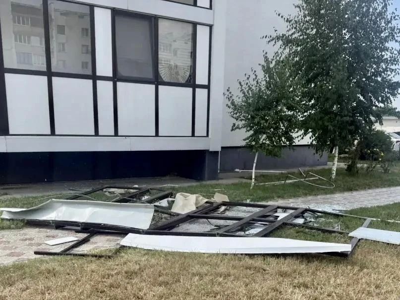 Сильный ветер повалил деревья в Евпатории
