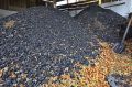 Весь уголь, который приобретают крымчане для отопления домов, реализуется частными продавцами