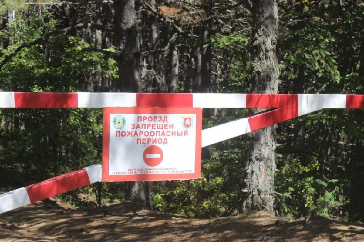 Запрет на посещение крымских лесов продлили еще на три недели