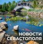 Михаил Развожаев: Коротко о главном:. Пожар в районе пляжа «Инжир» локализован, открытое горение ликвидировано, идёт проливка территории