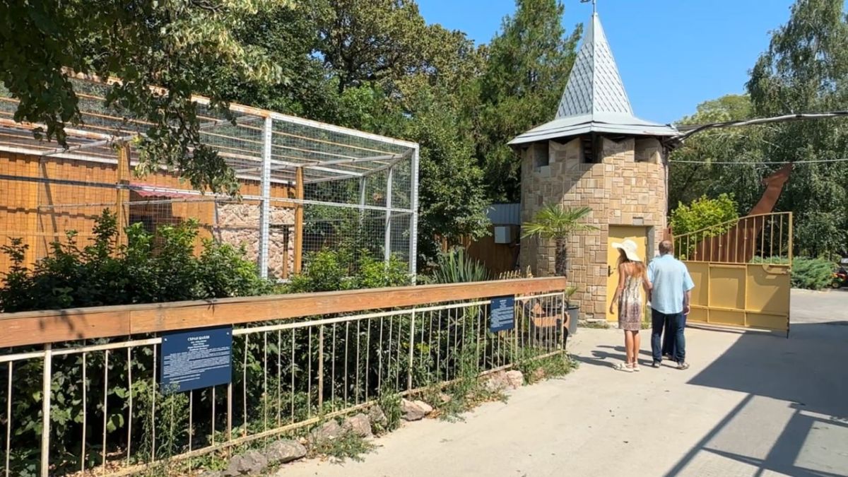 ПЕРО ПАВЛИНА. В симферопольском зооуголке павлины начали прощаться со своим роскошным хвостом ПЕРО ПАВЛИНА. В симферопольском зооуголке павлины начали прощаться со своим роскошным хвостом