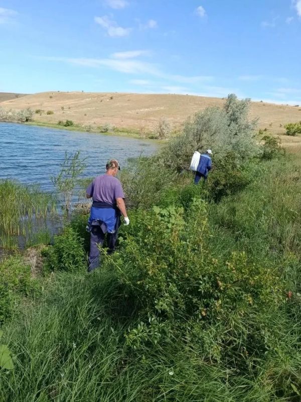 В Крыму продолжаются экологические акции по уборке береговых линий водных объектов В Крыму продолжаются экологические акции по уборке береговых линий водных объектов