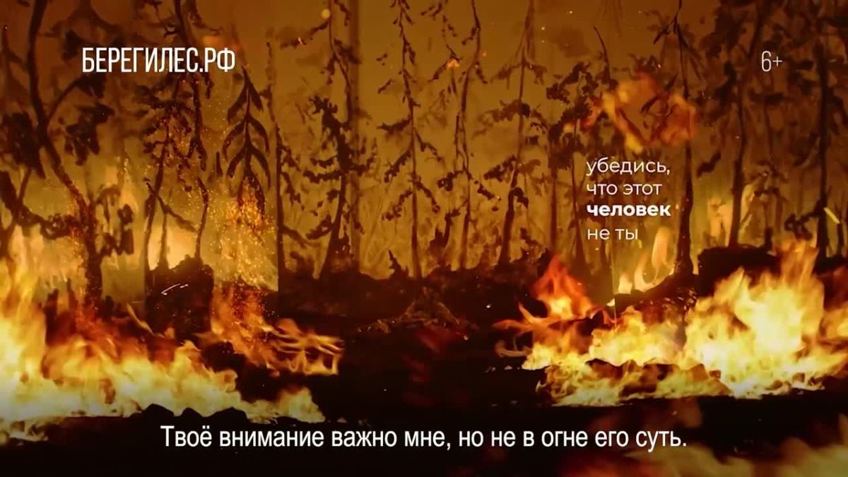 Берегите лес от огня!